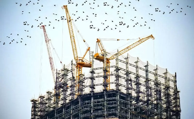 Project2 Detail 161997584